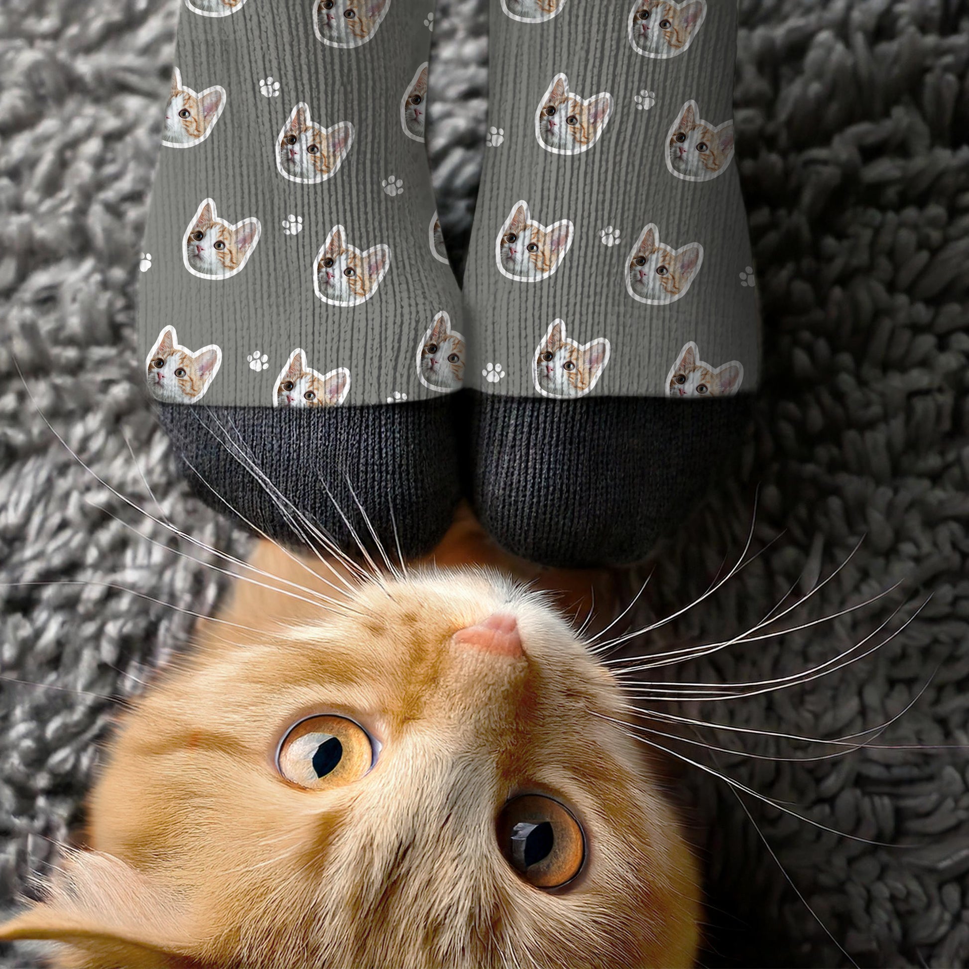 Customizable pet face socks in 16 colors, with background removed for a clean, professional design – ideal for pet lovers